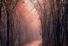 蜂鸟电竞：我国地板钩球女队挺进世锦赛资格赛决赛 也获世运会资格.