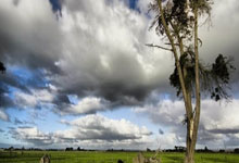蜂鸟电竞：绝代双骄！回顾梅罗在欧冠赛场的那些精彩进球 这又是谁逝去的青春.