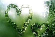 蜂鸟电竞:😎开始发力!浙江打了一波18-6攻击波,领先北京14分.