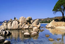 蜂鸟电竞：既是常规赛收官战，也是卡位战！山东VS辽宁大名单：张镇麟缺阵.